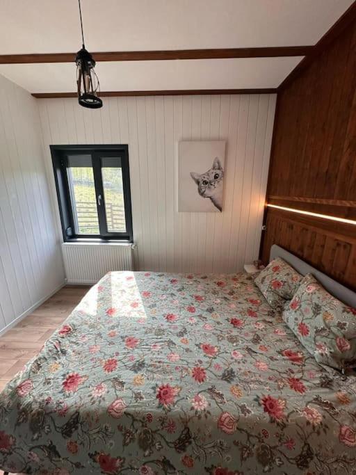 Alpine Chalet Predelut Extérieur photo